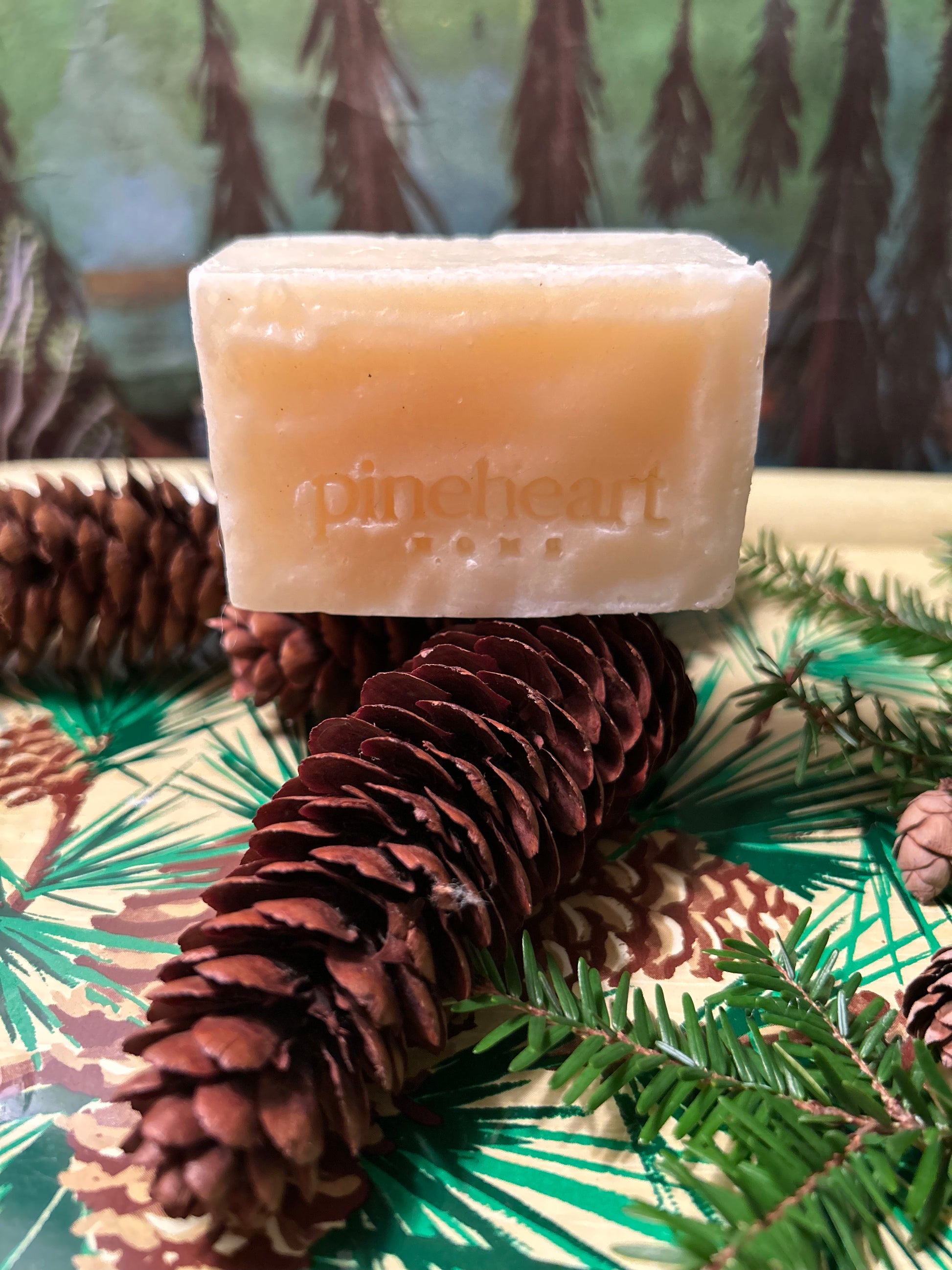 Alternate view of the same soap with pinecones.